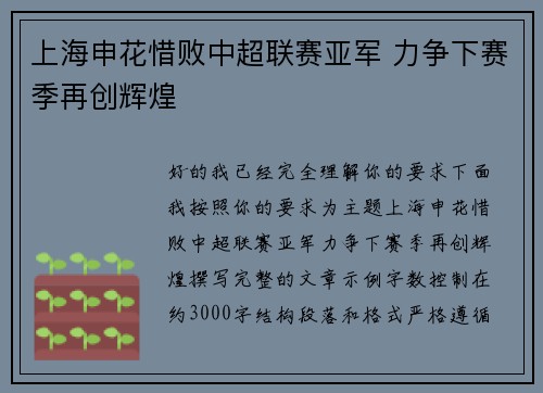 上海申花惜败中超联赛亚军 力争下赛季再创辉煌